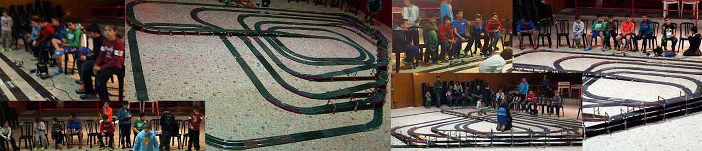 Ardslot a Albesa 2014