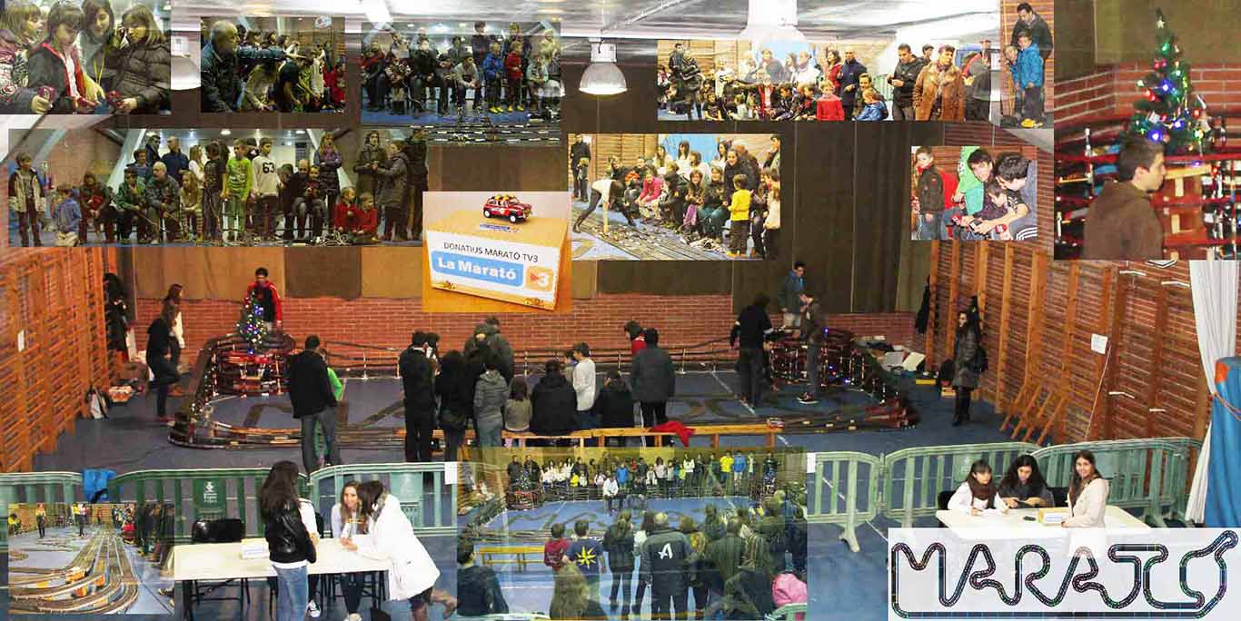 Ardslot a Cerdanyola 2013